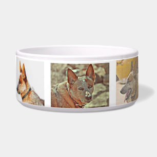 "Boomer" Red Heeler Large Dog Bowl Voerbakje