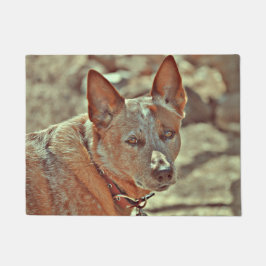 Boomer Red Heller Mat