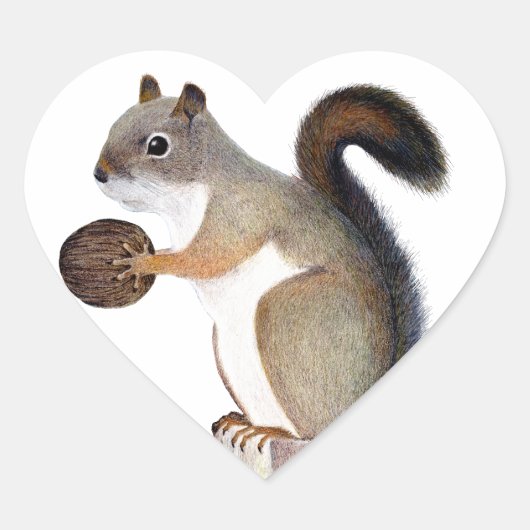 Boomer Squirrel Hart Sticker (Voorkant)