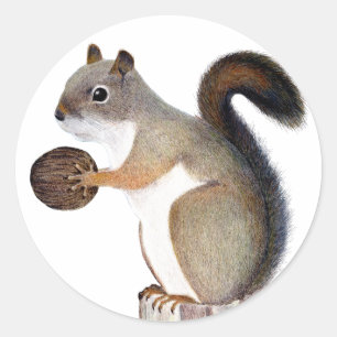 Boomer Squirrel Ronde Sticker