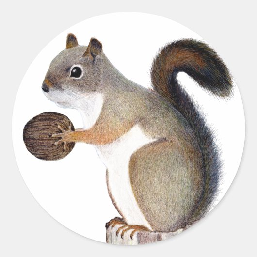 Boomer Squirrel Ronde Sticker (Voorkant)