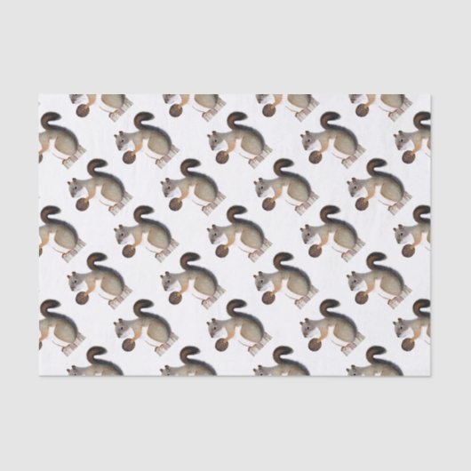 Boomer Squirrel Tissuepapier (Voorkant)