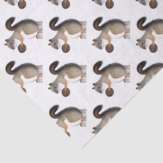 Boomer Squirrel Tissuepapier (Detail)