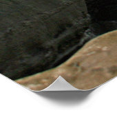 Boomer's to Children's Pool Poster ~ La Jolla (Hoek)