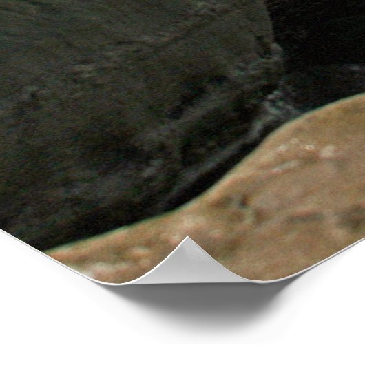 Boomer's to Children's Pool Poster ~ La Jolla (Hoek)