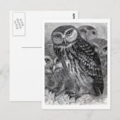  boomfamilie briefkaart (Voorkant / Achterkant)