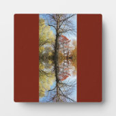 Boomfoto gespiegeld fotoplaat (Voorkant)