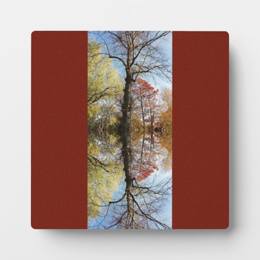 Boomfoto gespiegeld fotoplaat (Voorkant)
