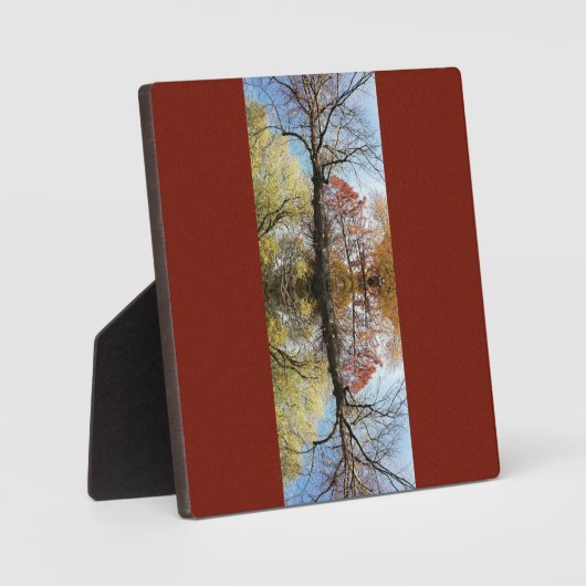 Boomfoto gespiegeld fotoplaat (Voorkant)