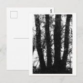 Boomfotografie - Arden Briefkaart (Voorkant / Achterkant)