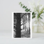 Boomfotografie - Druantia Briefkaart (Staand voorkant)