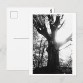 Boomfotografie - Elanie Briefkaart (Voorkant / Achterkant)