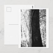 Boomfotografie - Houtig Briefkaart (Voorkant / Achterkant)