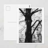 Boomfotografie - Ilana Briefkaart (Voorkant / Achterkant)