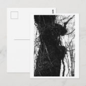 Boomfotografie - Moriko Briefkaart (Voorkant / Achterkant)