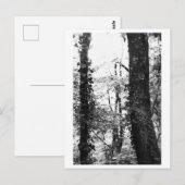 Boomfotografie - Nikki Briefkaart (Voorkant / Achterkant)