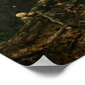 boomgaard poster (Hoek)