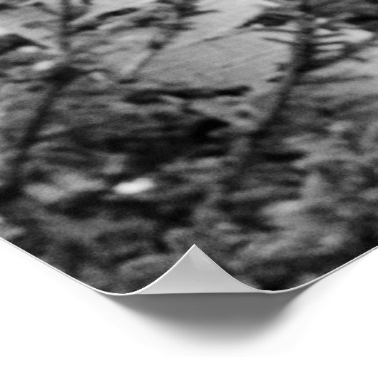 boomgaard poster (Hoek)