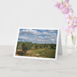 Boomgaard Wolken Landschap Kaart