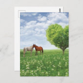 Boomhart en Paarden Briefkaart (Voorkant / Achterkant)