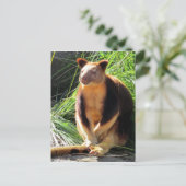 boomkanga briefkaart (Staand voorkant)