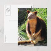 boomkanga briefkaart (Voorkant / Achterkant)