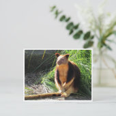 boomkangoeroe briefkaart (Staand voorkant)