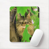 Boomkat Muismat (Met muis)