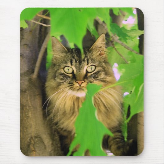Boomkat Muismat (Voorkant)