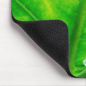 Boomkikker #1 muismat (Hoek)