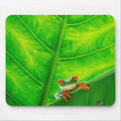 Boomkikker #1 muismat (Voorkant)