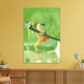 Boomkikker 6 canvas afdruk (Insitu (Woonkamer))