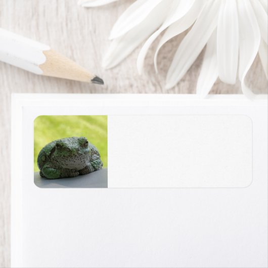 Boomkikker adresetiketten etiket (Insitu)