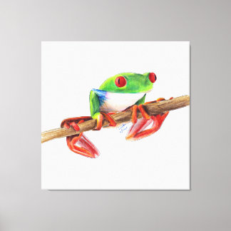 Boomkikker boomkikker cute dier illustratie tekeni canvas afdruk