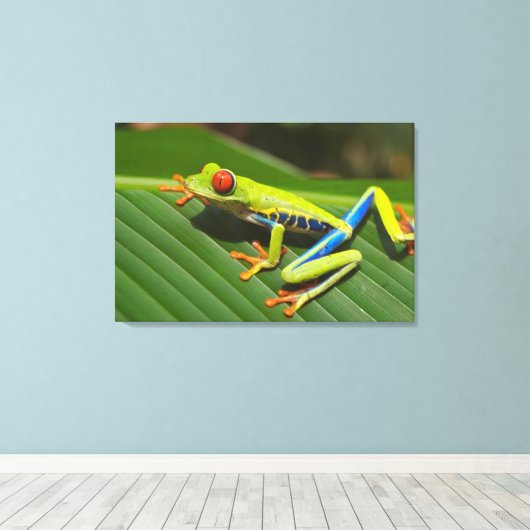 Boomkikker Canvas Afdruk (Insitu (Houten vloer))