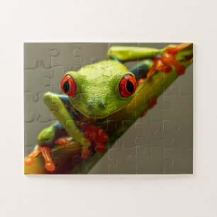 Boomkikker die naar je kijkt met rode ogen legpuzzel