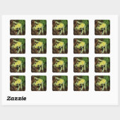 Boomkikker (Hylidae) Vierkante Sticker (Vel)