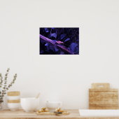 Boomkikker in Costa Rica Poster (Keuken)