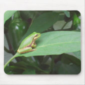 boomkikker in de pepers muismat (Voorkant)