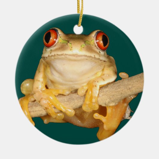 Boomkikker Keramisch Ornament (Voorkant)