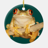 Boomkikker Keramisch Ornament (Achterkant)