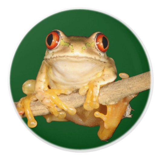 Boomkikker Keramische Knop (Voorkant)