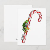 Boomkikker - kerstkaart (Voorkant / Achterkant)