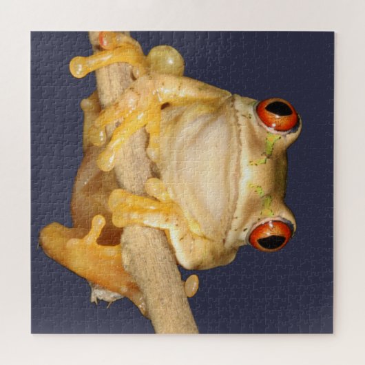 Boomkikker Legpuzzel (Horizontaal)