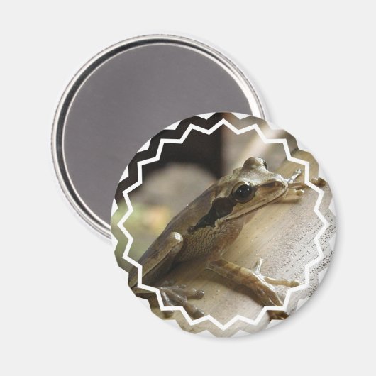 Boomkikker Magneet (Voorkant / Achterkant)