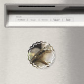 Boomkikker Magneet (Insitu (Vaatwasser))