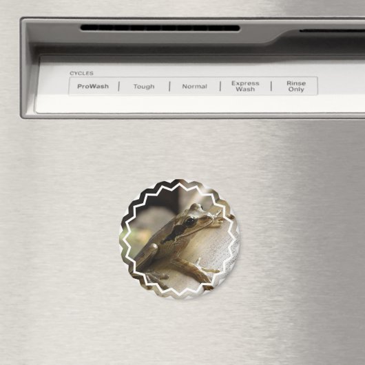 Boomkikker Magneet (Insitu (Vaatwasser))