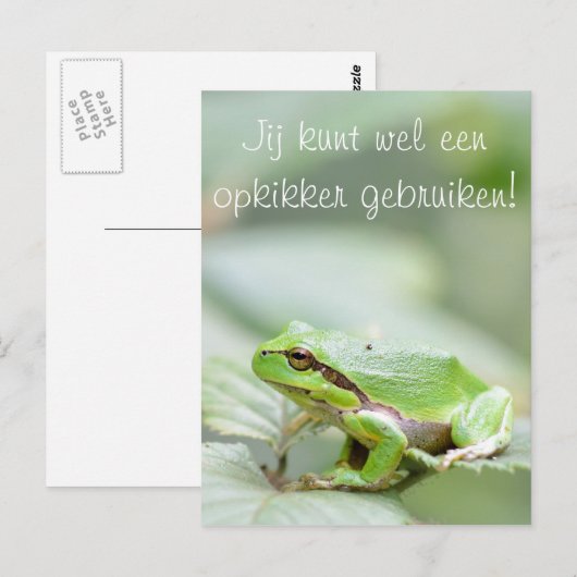 Boomkikker met de tekst 'Opkikker' briefkaart (Voorkant / Achterkant)