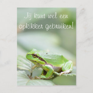 Boomkikker met de tekst 'Opkikker' briefkaart