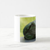 Boomkikker mok (Center)